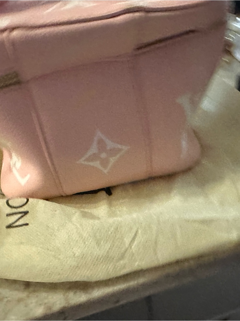 Pink Monogram Mini Vanity Crossbody - Picture 5 of 9